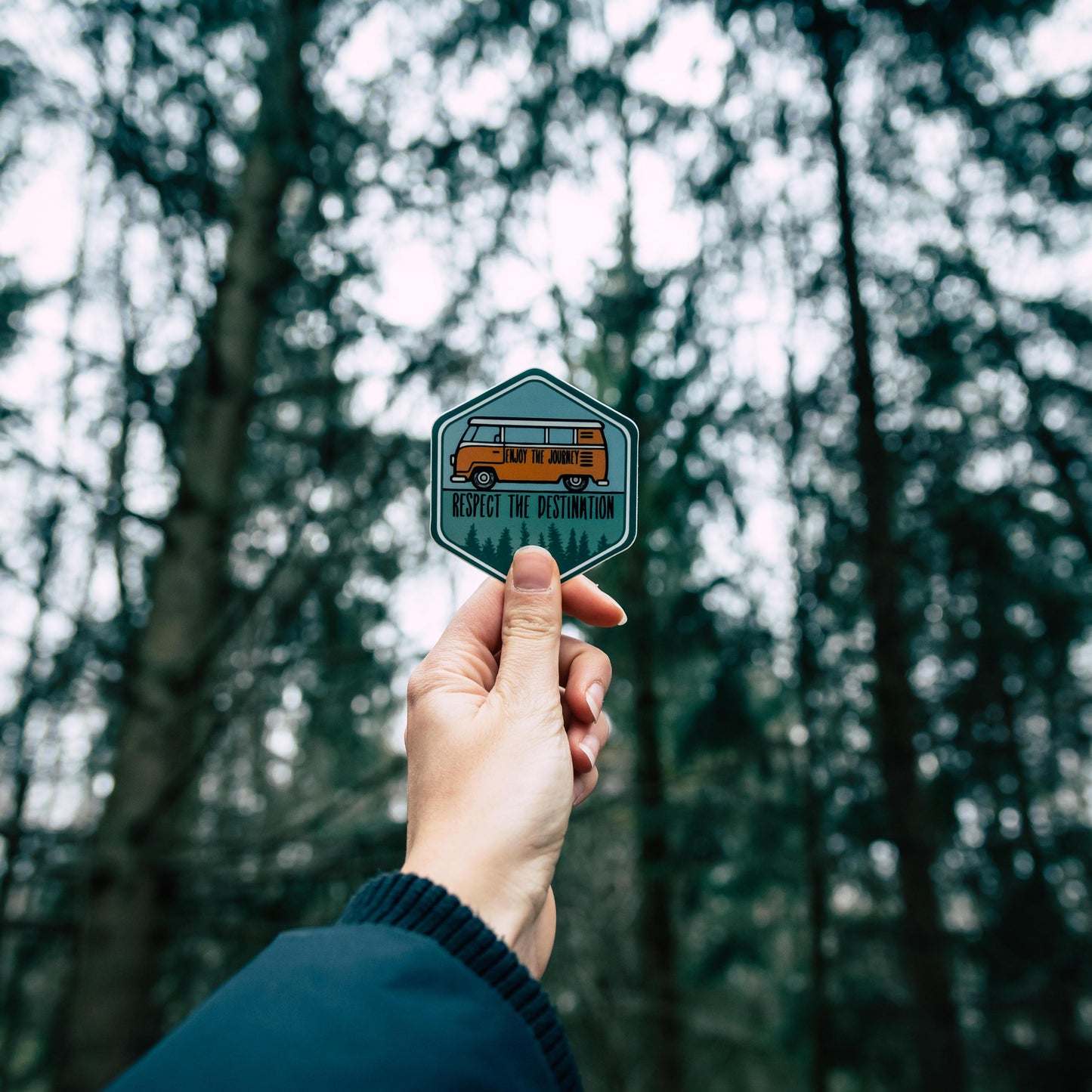 hand holding wildtree bus destination forest sticker in forest