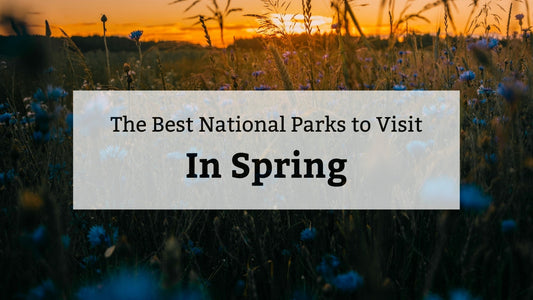 Wildtree's Guide to The Best National Parks in Spring 🌼⛰️ | Top 12 National Parks in Spring