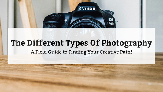 What are the Different Types of Photography? Find Your Creative Path 📸