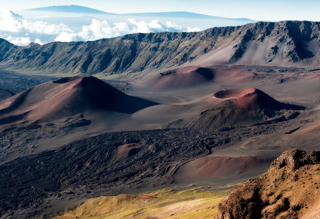 Snow-Free with Wildtree: Discovering the Warmest National Parks in Winter