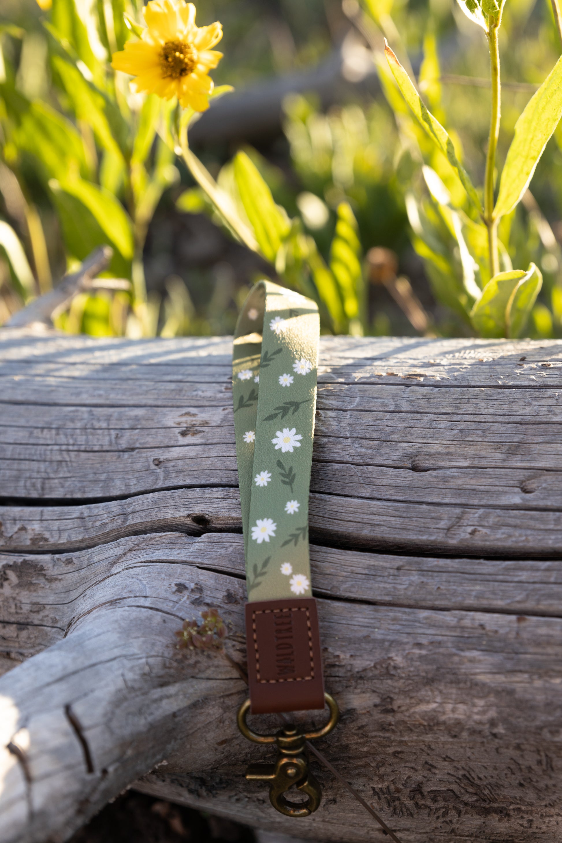 Close-up shot of a green wristlet keychain or lanyard with a white daisy pattern, resting on a weathered piece of driftwood or log. The wristlet has a brown leather end with a brass clasp. Bright sunlight and out-of-focus yellow flowers are in the background.
