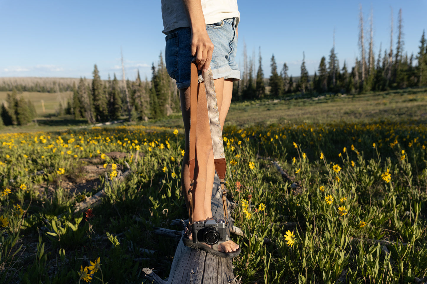 A person wearing jean shorts and a white shirt stands on a weathered tree stump in a bright, grassy field of yellow wildflowers and evergreen trees. They hold a brown and beige camera strap with a subtle floral design, which is attached to a vintage-style black and silver camera resting on the stump.