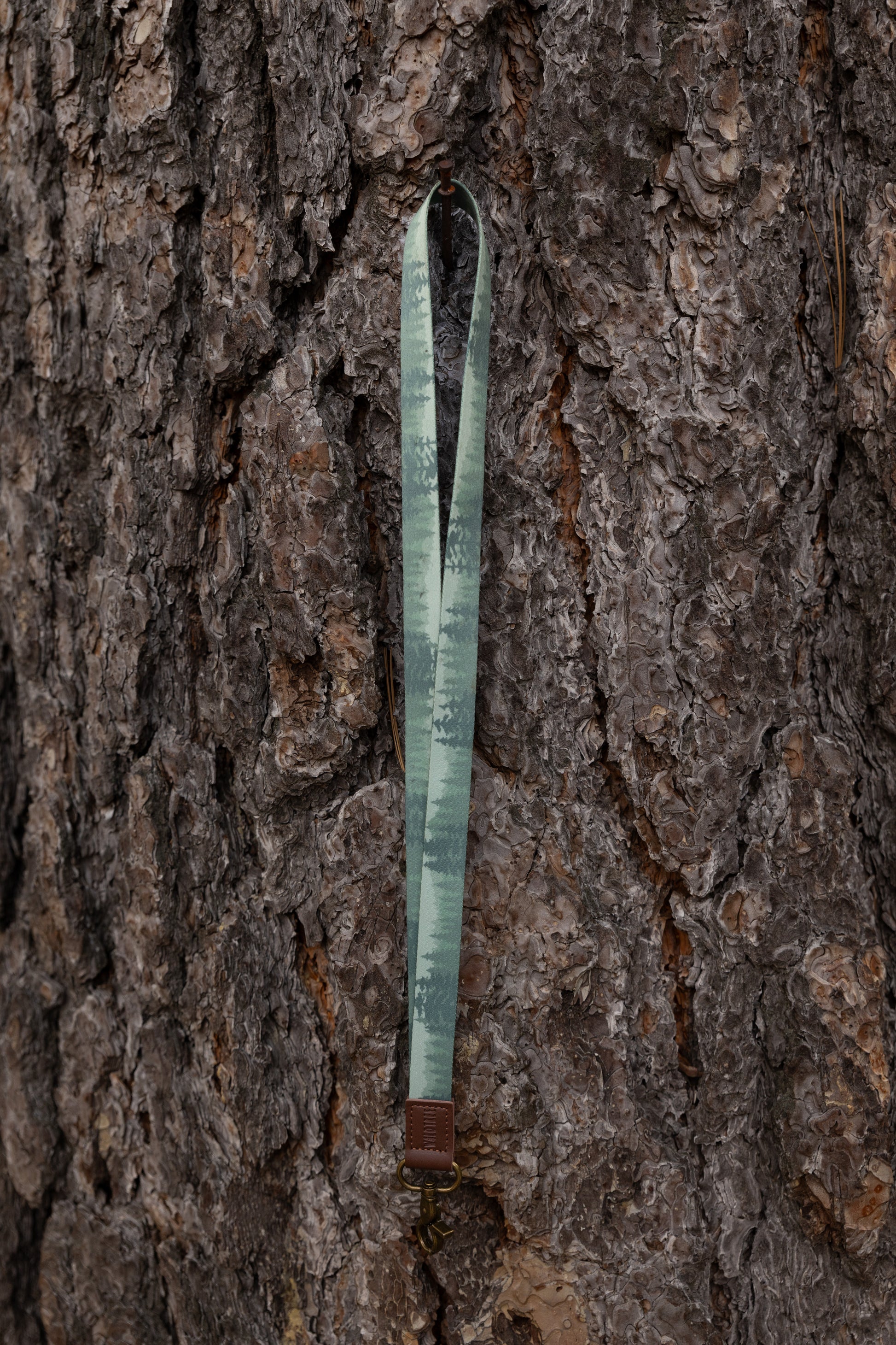 The green forest-patterned lanyard hangs vertically from a small nail embedded in the thick, textured bark of a large pine tree. The lanyard is shown in full length, highlighting the gradient tree design and the leather attachment at the bottom.