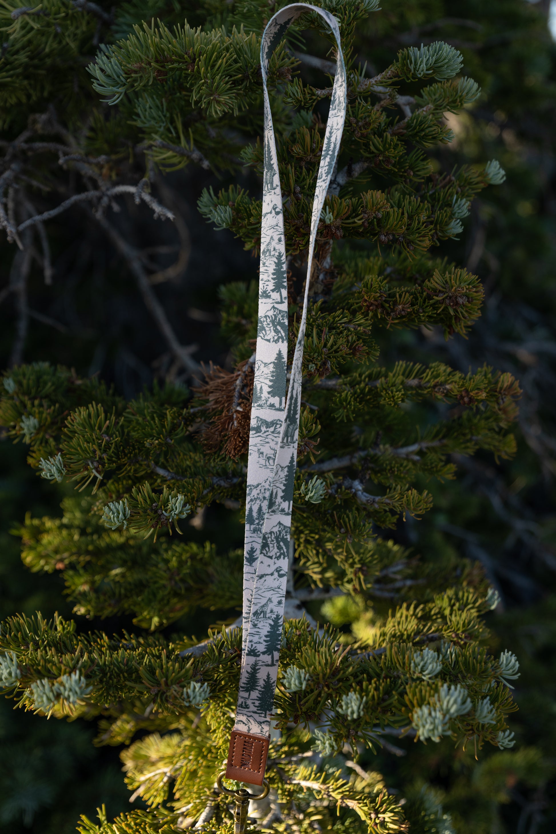 A long lanyard with a white and green forest or woodland print, hanging vertically from the branches of an evergreen tree. The lanyard has a brown leather end and a brass clasp at the bottom. The background is blurred, dark green foliage.