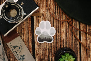 Wildtree Paw sticker on hardwood surrounded by plants, camera and camera strap