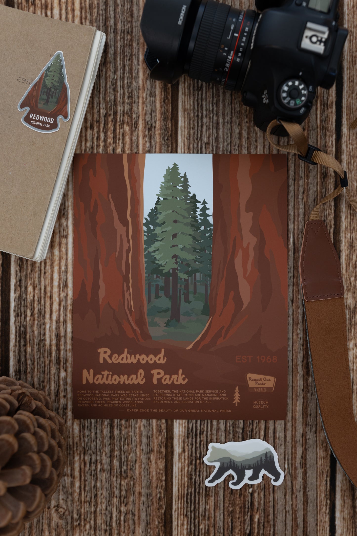 Redwood National Park Poster