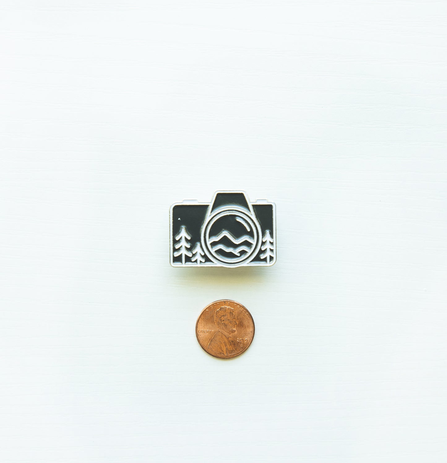 Camera pin next to penny for size comparison