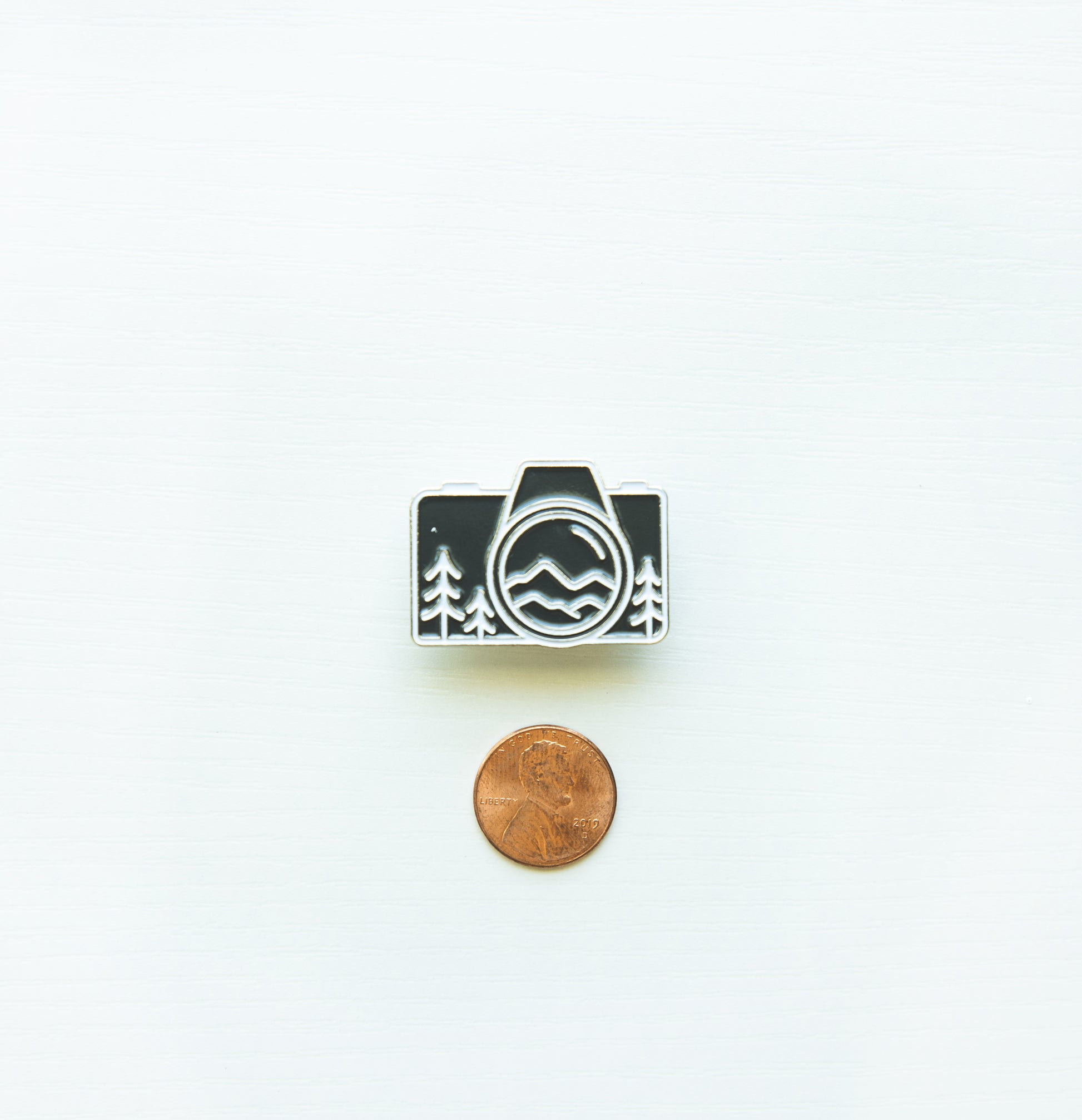 Camera pin next to penny for size comparison