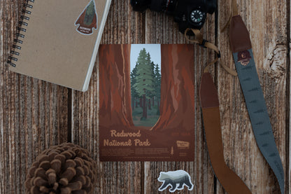 Redwood National Park Poster