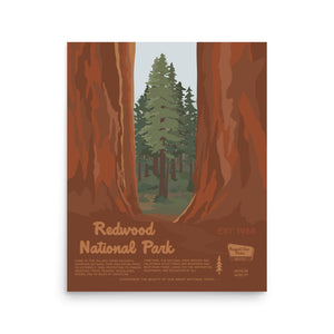 Redwood National Park Poster